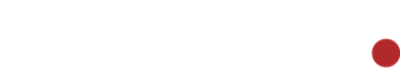EchoPilot